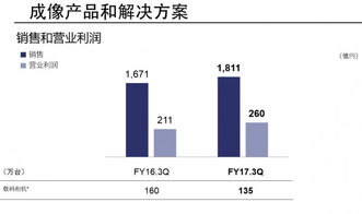 企业财务报告与互联网数据中心 199it软件外包服务的发展趋势